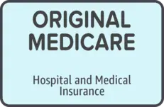 Original Medicare includes hospital and medical insurance provided by the federal government.