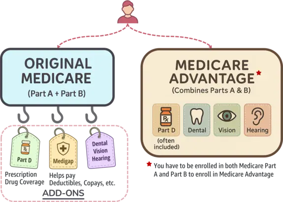 Comparison of the two Medicare options: Original Medicare with add-ons and Medicare Advantage with bundled coverage.